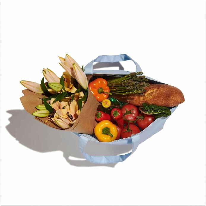 20 L Tag Along Tote Tonal Agave