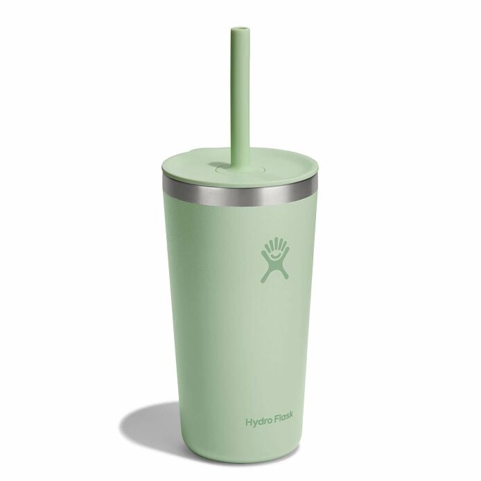 20 oz All Around™ Tumbler with Straw Lid Aloe